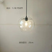 Clear Glass Globe Pendant Light