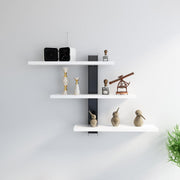 Adjustable Metal Spine Three-Tier Wall Shelf