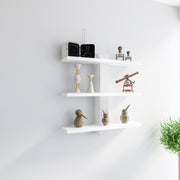Adjustable Metal Spine Three-Tier Wall Shelf