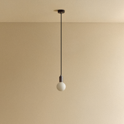 Graphite Pendant Light with Porcelain II LED Bulb