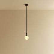 Graphite Pendant Light with Porcelain II LED Bulb