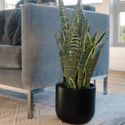 Faux Snake Plant — 30 Inch