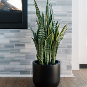 Faux Snake Plant — 30 Inch