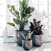 Tapered Cylinder Outdoor Planter