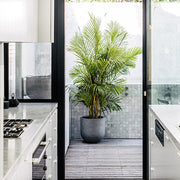 Tapered Cylinder Outdoor Planter