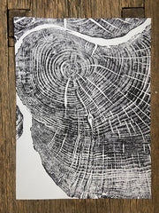 Hand-Pressed Sugar Maple Ring Art Print hung in a curated gallery wall arrangement