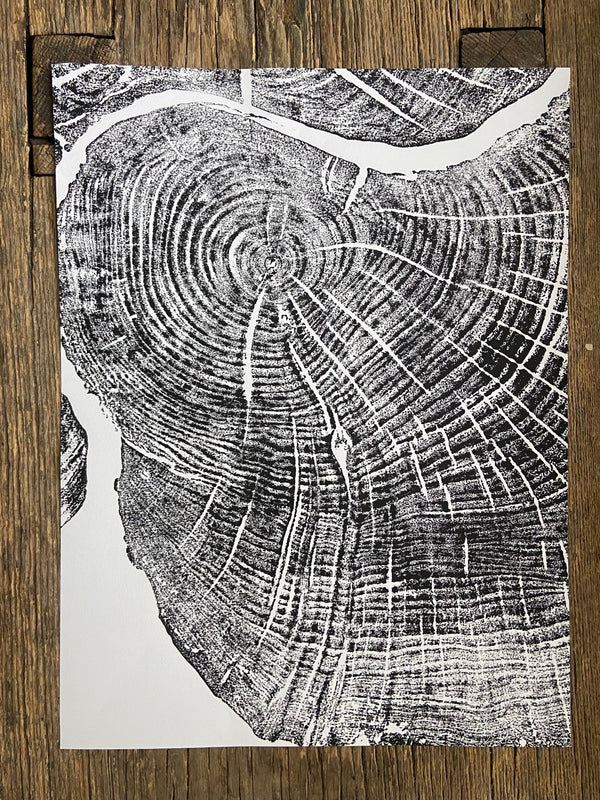 Hand-Pressed Sugar Maple Ring Art Print hung in a curated gallery wall arrangement