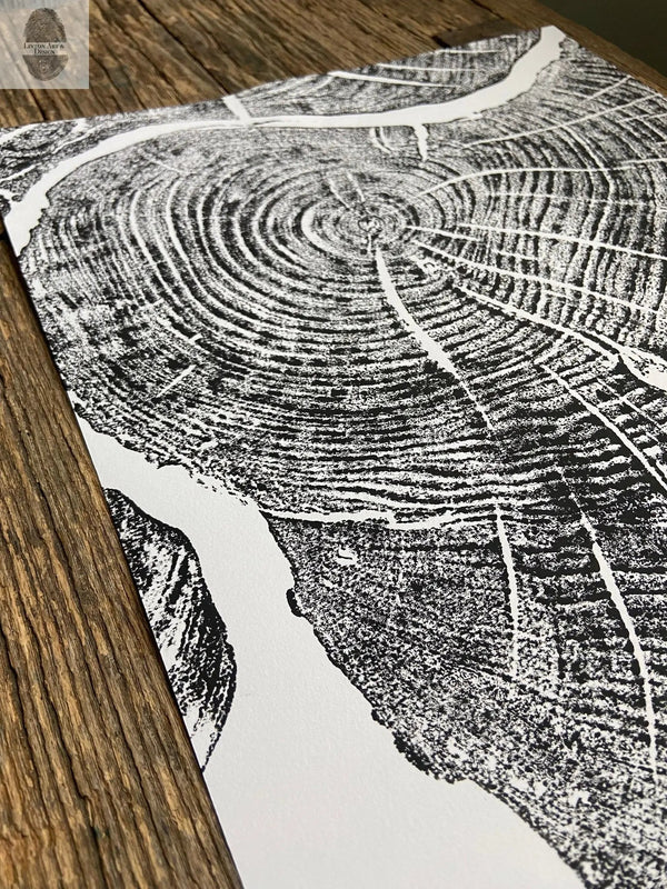 Close-up of material and construction detail — Hand-Pressed Sugar Maple Ring Art Print