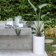 Tall Cylinder Lightweight Planter