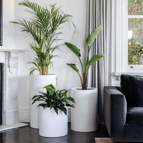 Tall Cylinder Lightweight Planter