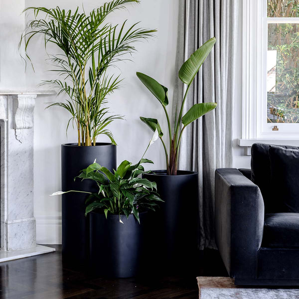 Tall Cylinder Lightweight Planter