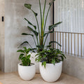 Egg-Shape Fiberglass Tub Planter