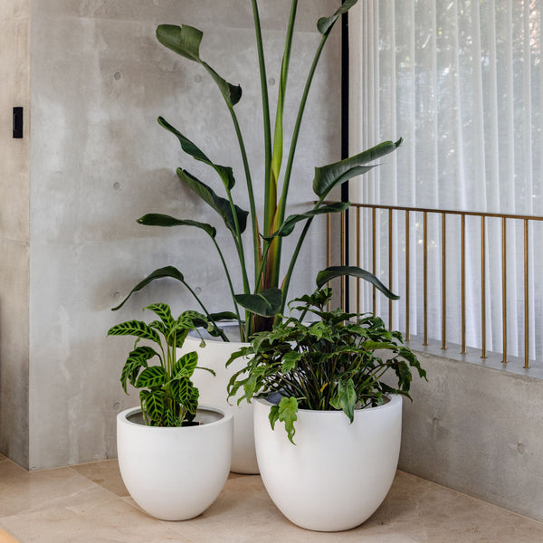 Egg-Shape Fiberglass Tub Planter