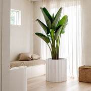 Fluted Fibreglass Cylinder Planter