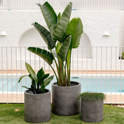 Cylinder Lightweight Planter