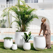 Flared-Base Indoor Outdoor Planter
