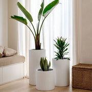 Ribbed Cylinder Lightweight Planter