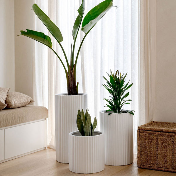 Ribbed Cylinder Lightweight Planter