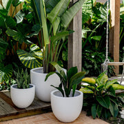 Egg-Shape Fiberglass Tub Planter