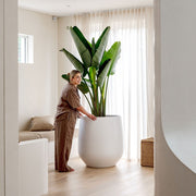 Flared-Base Indoor Outdoor Planter