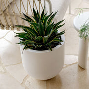 Tapered Cylinder Outdoor Planter
