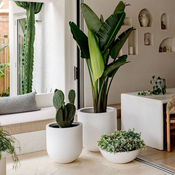 Tapered Cylinder Outdoor Planter