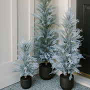 Flocked Cedar Accent Tree, 36 in
