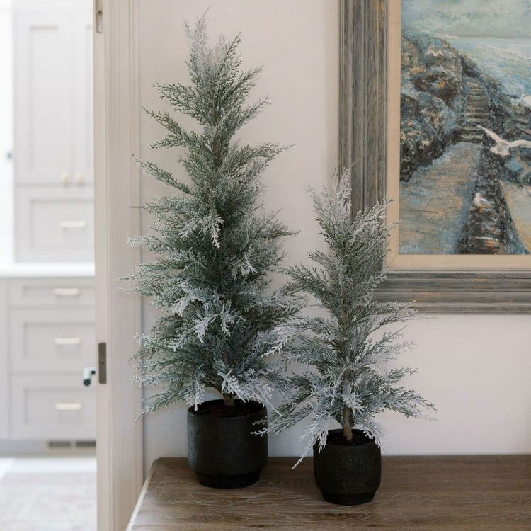 Flocked Cedar Accent Tree, 36 in
