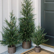 Faux Pine Tree in Woven Basket