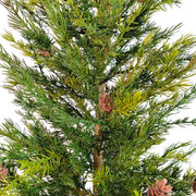 Faux Pine Tree in Woven Basket