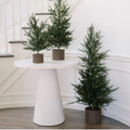 Faux Pine Tree in Woven Basket