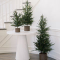 Artificial Pine Tree in Wired Basket, 36 in