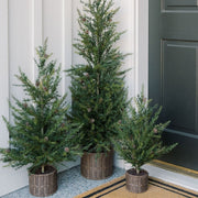 Artificial Pine Tree in Wired Basket, 36 in