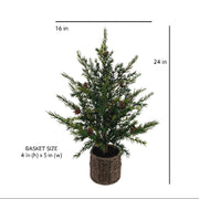 Artificial Pine Tree in Wired Basket, 36 in