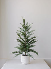 Faux Cedar Trees, Set of 2