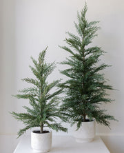 Faux Cedar Trees, Set of 2