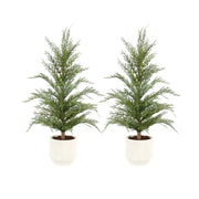 Faux Cedar Trees, Set of 2