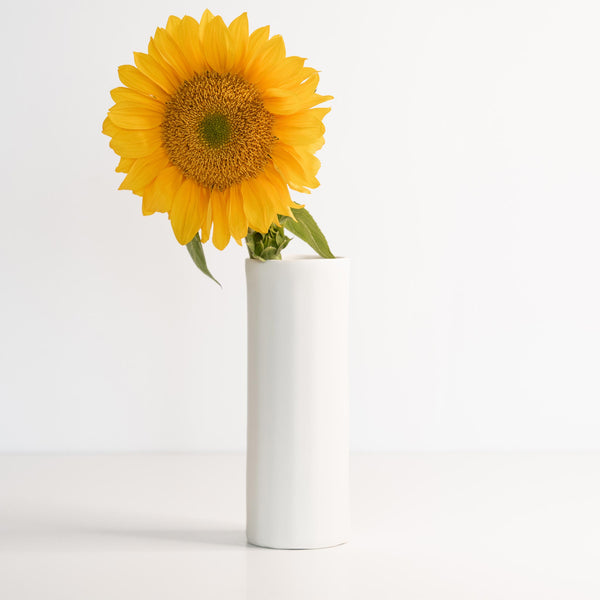 Satin Glaze Porcelain Cylinder Vase styled with dried botanicals on a shelf