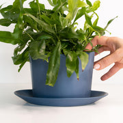 Oval Porcelain Planter with Catchall Tray styled on a console with ceramics and books