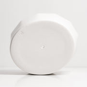 Oval Porcelain Planter with Catchall Tray — detail of finish and surface variation