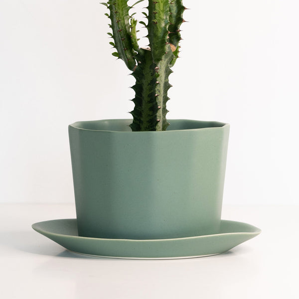 Close-up of material and construction detail — Oval Porcelain Planter with Catchall Tray