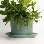 Oval Porcelain Planter with Catchall Tray — packaging and unboxing view