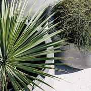 Wide-Rim Lightweight Round Planter