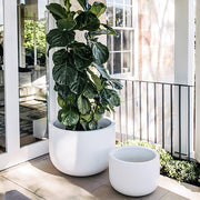Wide-Rim Lightweight Round Planter