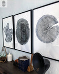 Tree Ring Triptych Print Set — Three-panel tree ring prints in monochromatic ink, large-format wall set