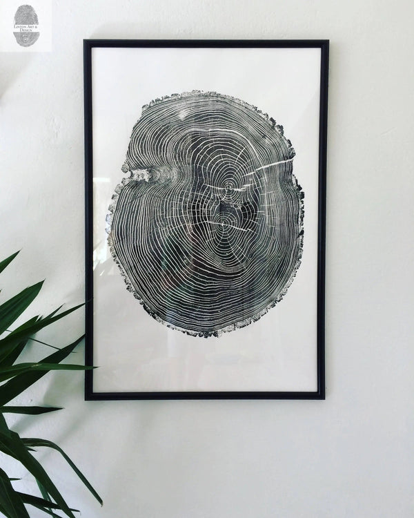 Tree Ring Triptych Print Set — scale reference and proportion detail