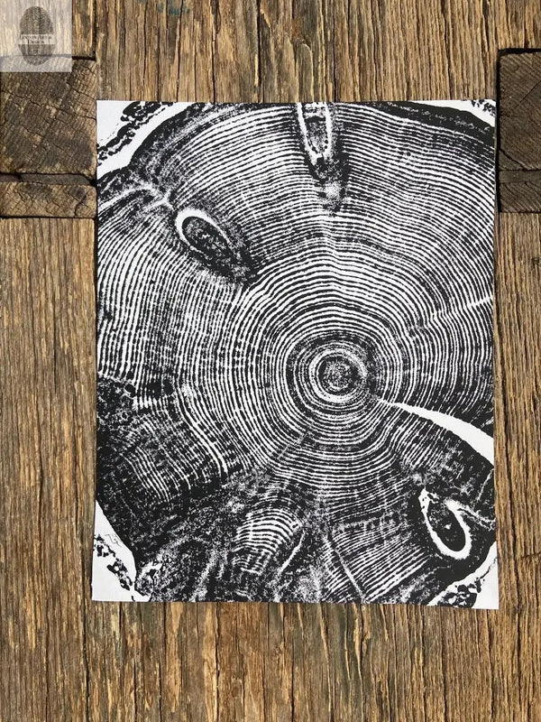 Hand-Pressed Knotted Pine Tree Ring Print hung in a curated gallery wall arrangement