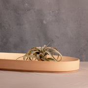 Micro Terrazzo Concrete Oval Platter — detail of finish and surface variation