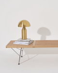Dome Shade Metal Table Lamp