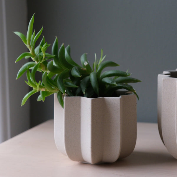 Wrap Planter - 4 sizes — alternate size option with plant styling